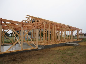hok8678.jpg