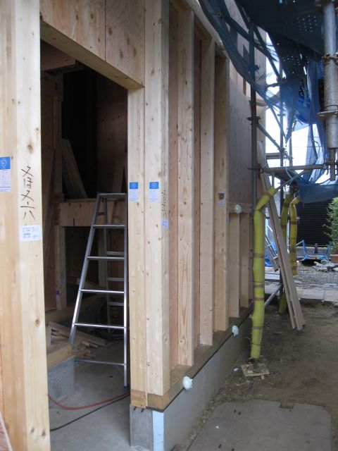 eho3875.jpg