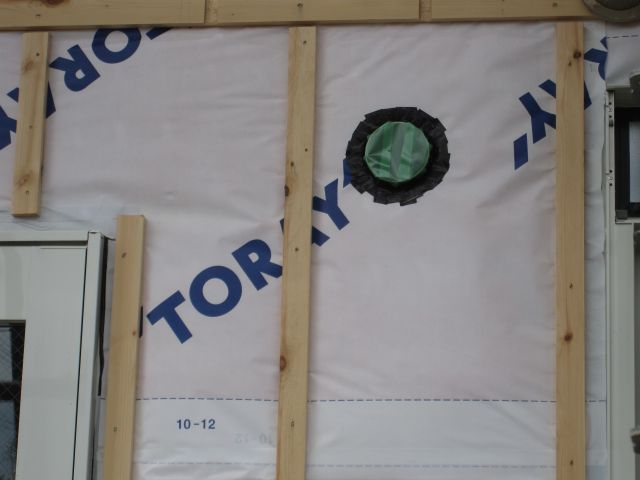 eho3902.jpg