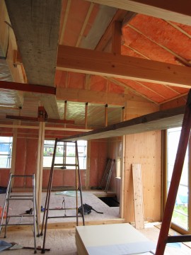 hok8973.jpg