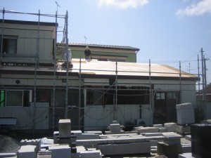 ona6928.jpg